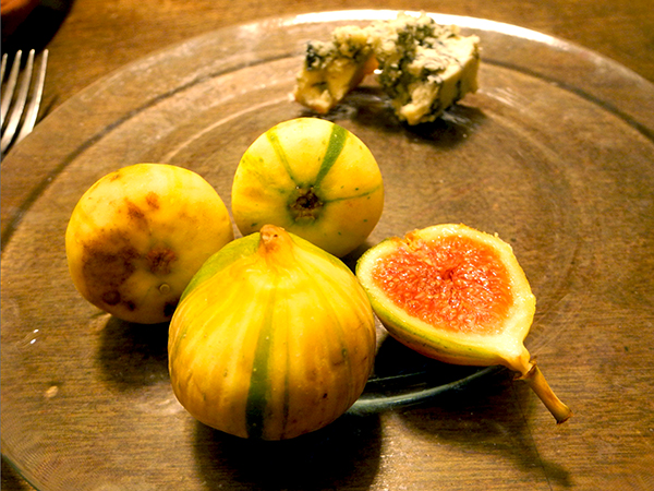 figs_barden