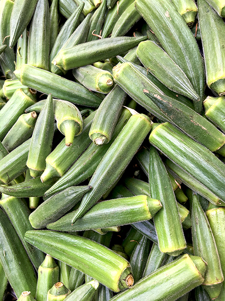 okra