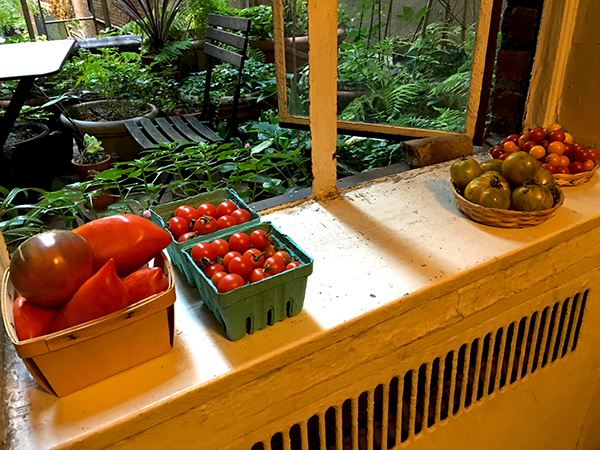 tomato_sill