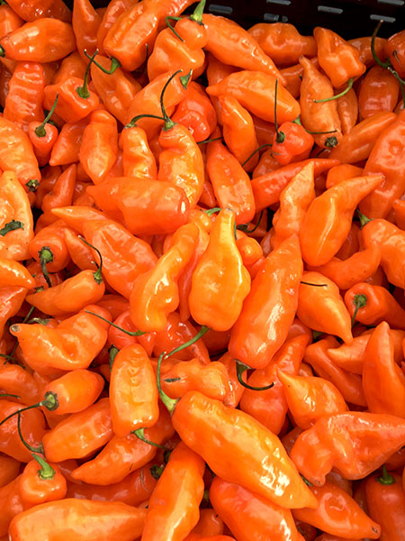 habanada_peppers