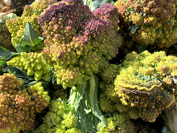 romanesco