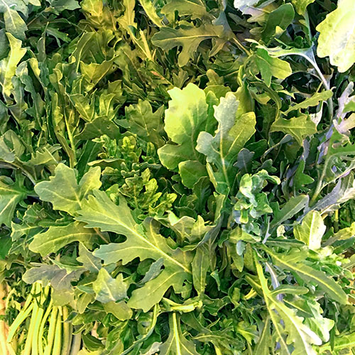 arugula
