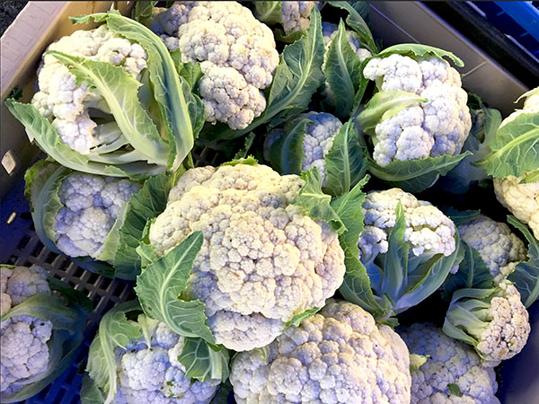 cauliflower