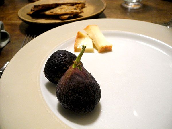 fig_slybro
