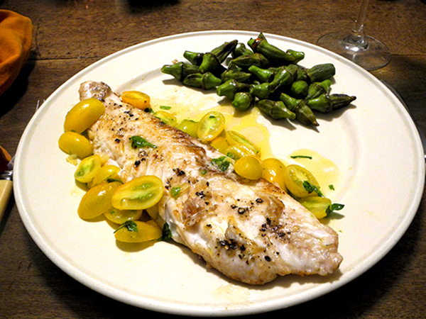 flounder2