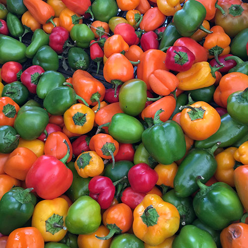 peppers