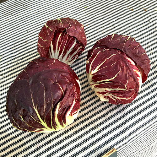 radicchio