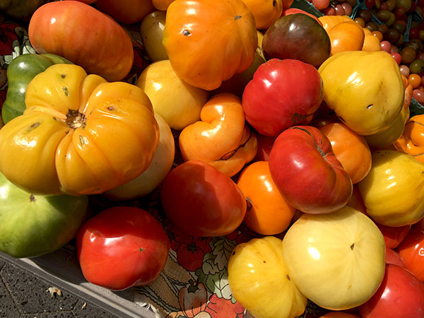 tomatoes_eckerton