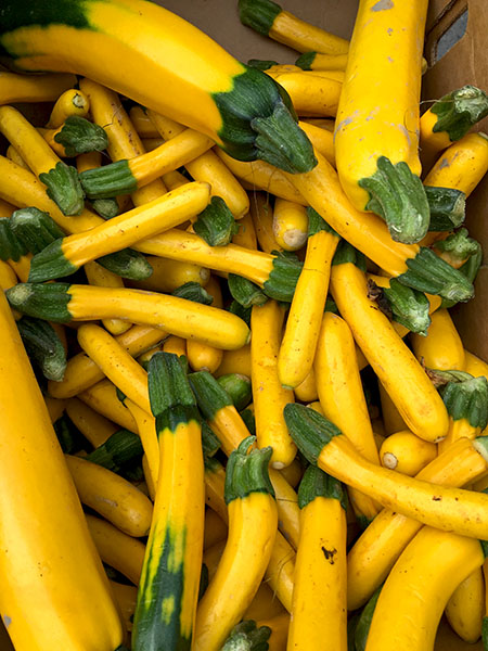 yellow_zucchini