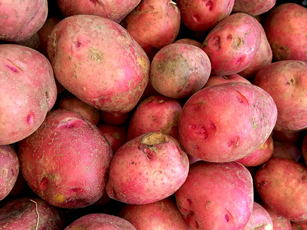 norland_new_potatoes
