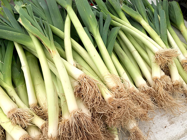 leeks