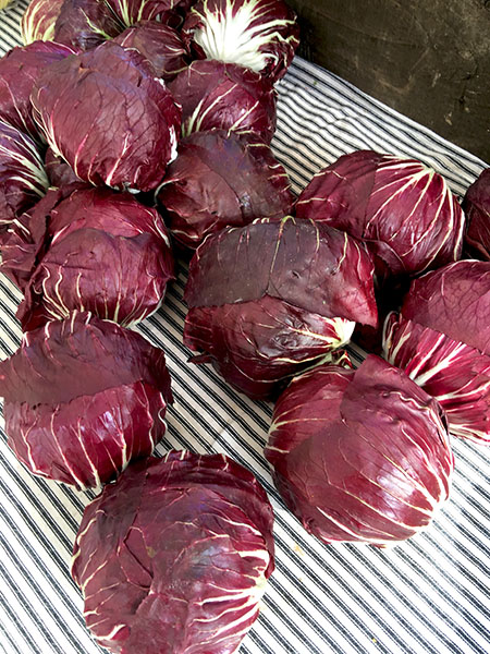 radicchio_campo_rosso