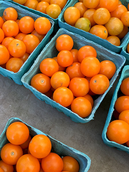 sun_gold_tomatoes