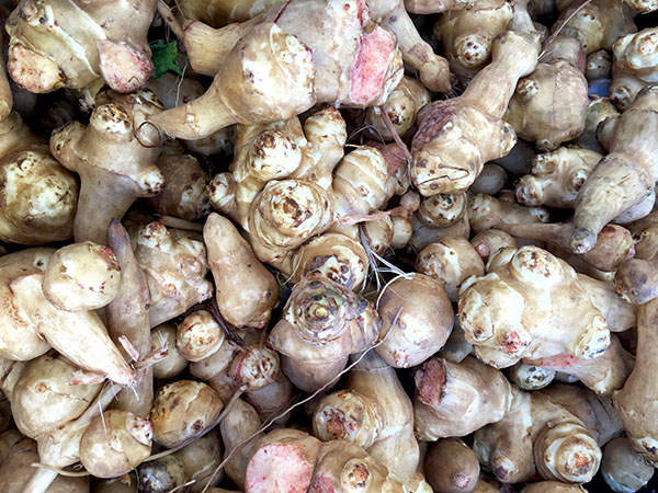 sunchokes