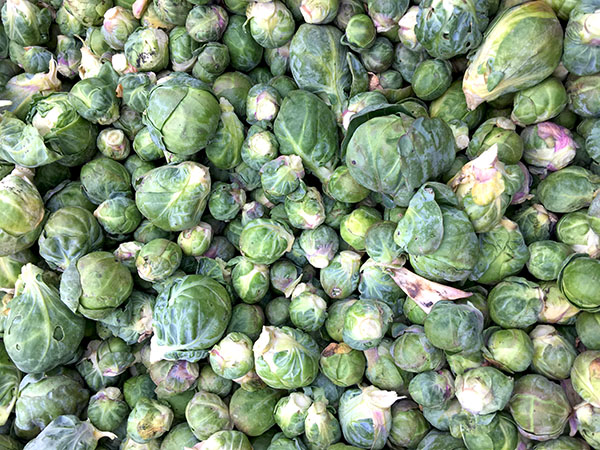 brussels_sprouts2