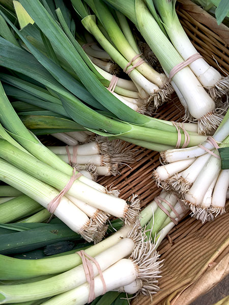 baby_leeks