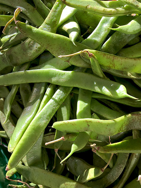 flat_pole_beans