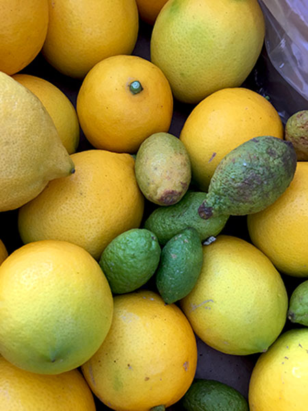 lemons_local