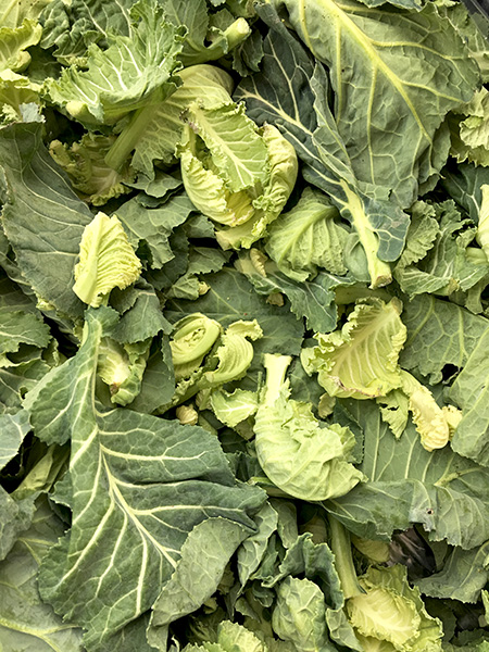 loose_collards