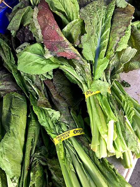 purple_mustard_greens