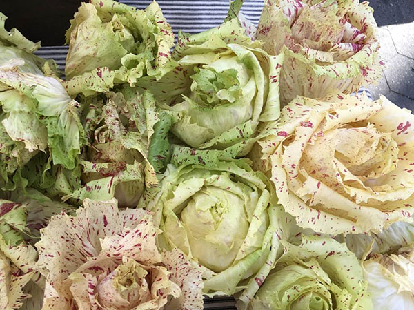 castelfranco