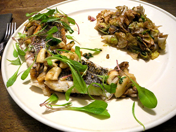 black_sea_bass_mushrooms_radicchio