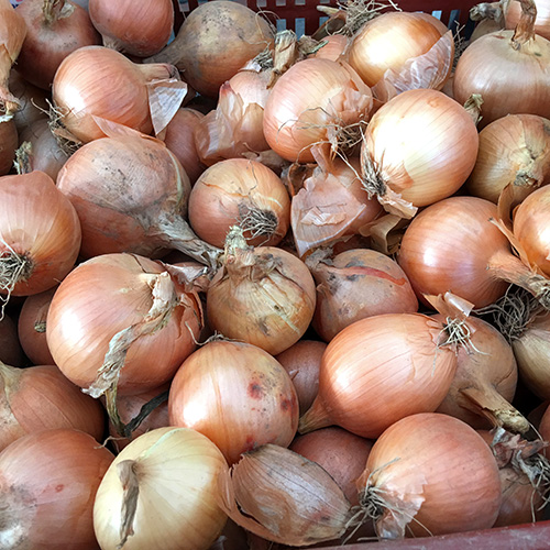 yellow_onions