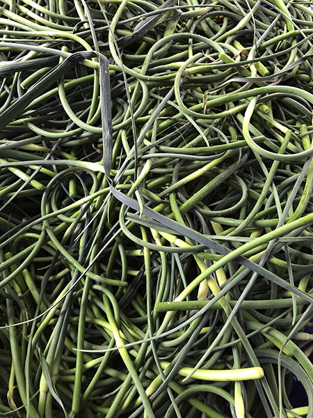 scapes