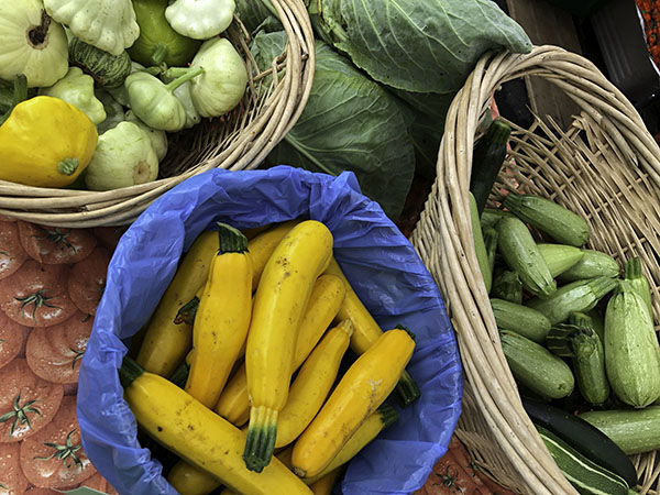 squash5